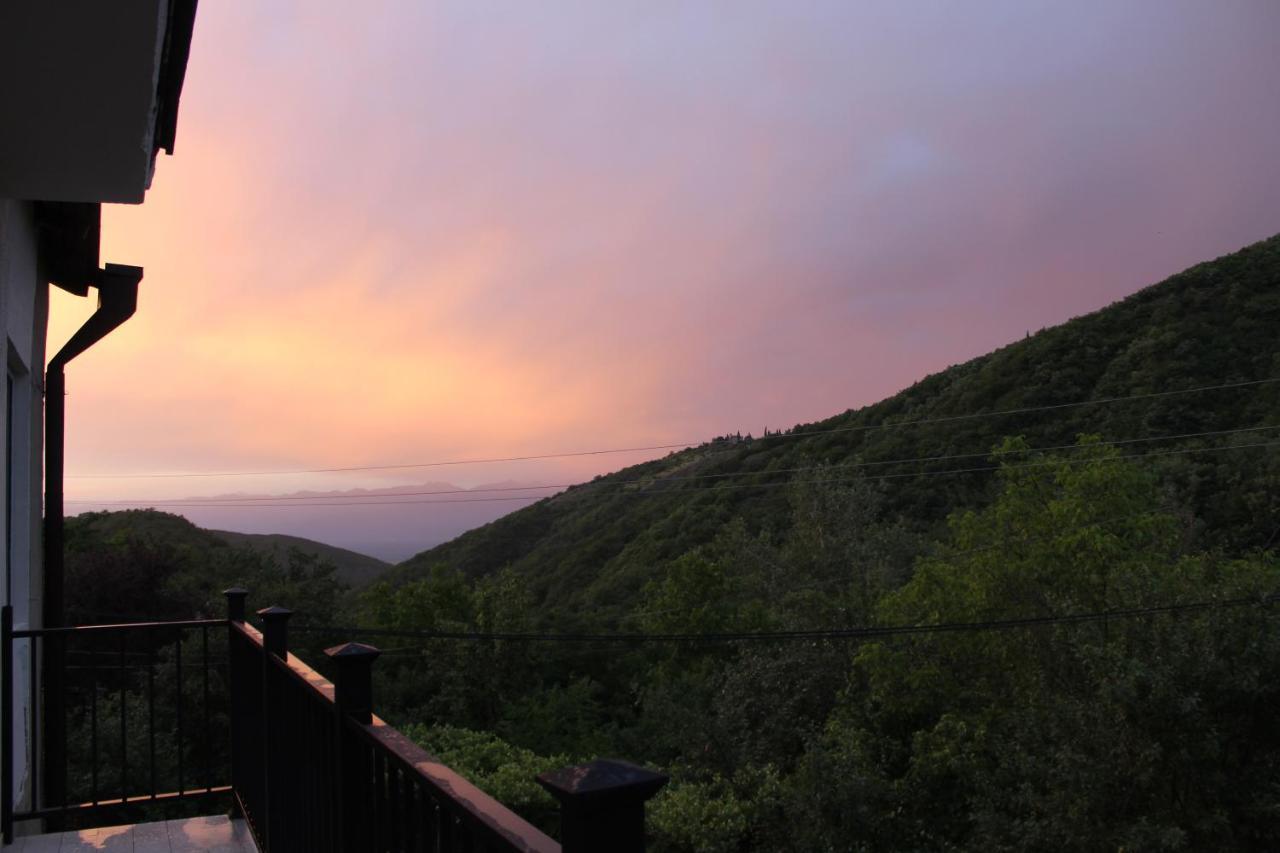 The Nature Sighnaghi Luaran gambar