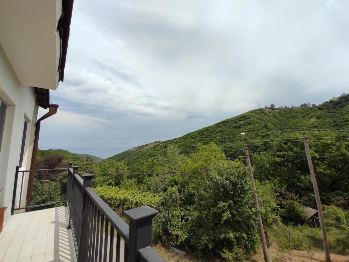 The Nature Sighnaghi Luaran gambar